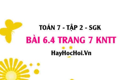 Bài 6.4 trang 7 Toán 7 Tập 2 Kết nối tri thức
